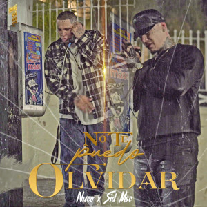 Album No te puedo olvidar from 