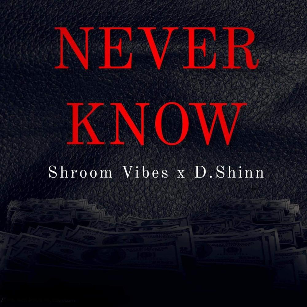 Never Know (feat. D.Shinn) (Explicit)