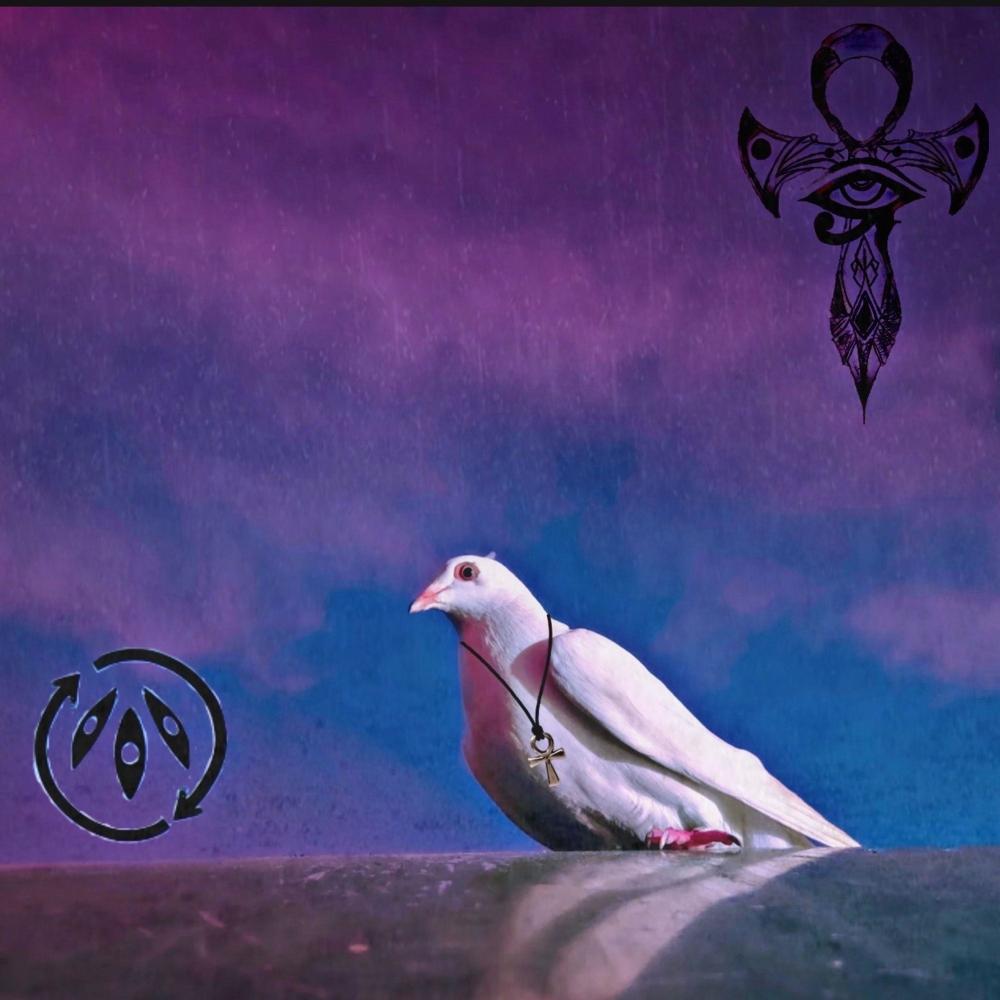birds cant fly backwards (Explicit)