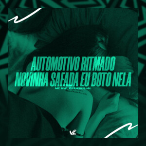 DJLAZER.OFC的专辑Automotivo Ritmado Novinha Safada eu Boto Nela (Explicit)