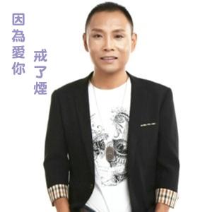 Listen to Yin Wei Ai Ni Jie Le Yan song with lyrics from 祁隆