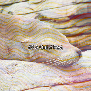 Album 48 A Quiet Rest from Rest & Relax Nature Sounds Artists