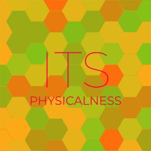 Various Artists的專輯Its Physicalness