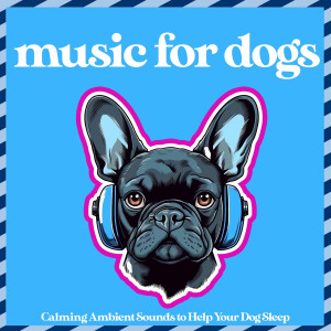 Relax My Dog的專輯Music for Dogs - Calming Ambient Sounds to Help Your Dog Sleep