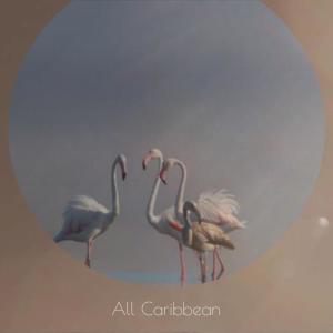 Album All Caribbean from Various