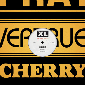 Listen to Cherry song with lyrics from Jungle