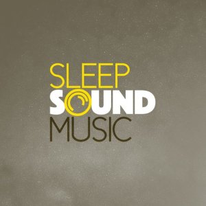 Music For Absolute Sleep的專輯Sleep Sound Music