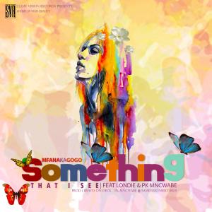 Mfanakagogo的專輯Something that i see (feat. londie & PK Mncwabe) [Radio Edit]