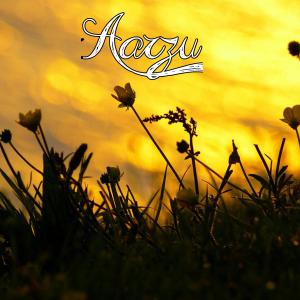 Album Aarzu from Master Blaster
