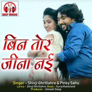 Album Bin Tor Jeena Nahi (Chhattisgarhi Song) from 