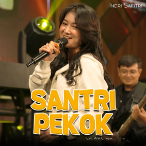 Dengarkan Santri Pekok lagu dari Indri Safitri dengan lirik