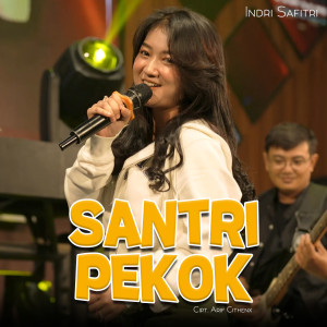 Listen to Santri Pekok song with lyrics from Indri Safitri