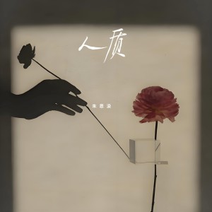 Album 追光2025合集 from 
