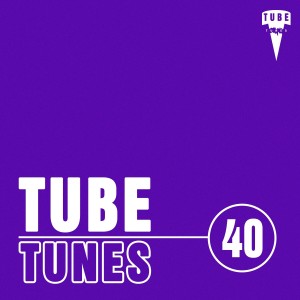 Various Artists的專輯Tube Tunes, Vol.40