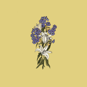 ดาวน์โหลดและฟังเพลง White Lily พร้อมเนื้อเพลงจาก Thomas LaVine