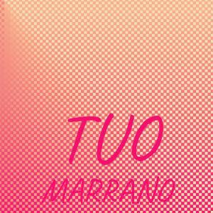 อัลบัม Tuo Marrano ศิลปิน Various