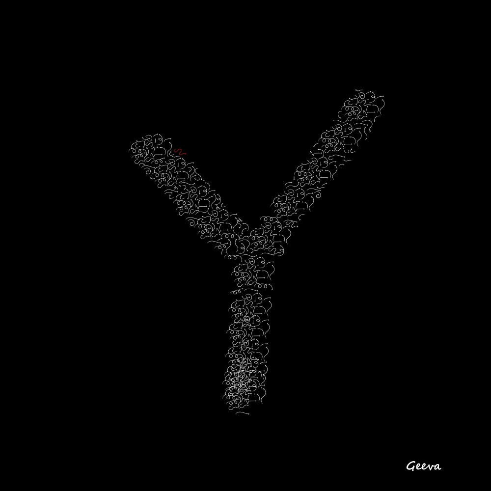 Y