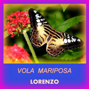 Album Vola Mariposa from Lorenzo