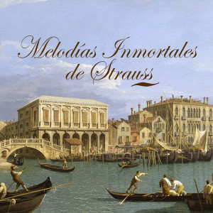 Album Melodías Inmortales de Strauss from Carl Michalski