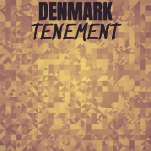 Various Artists的專輯Denmark Tenement