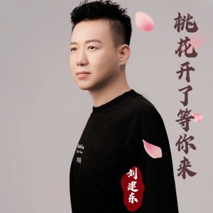 劉建東的專輯桃花開了等你來
