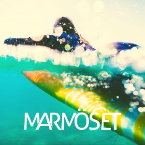 Marmoset的專輯Any More