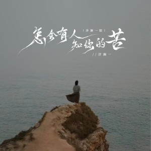 Album 怎会有人知你的苦（洋澜一版） from 洋澜一