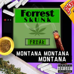 收聽Forrest Skunk的Freak (Explicit)歌詞歌曲