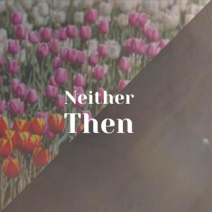 Various的专辑Neither Then