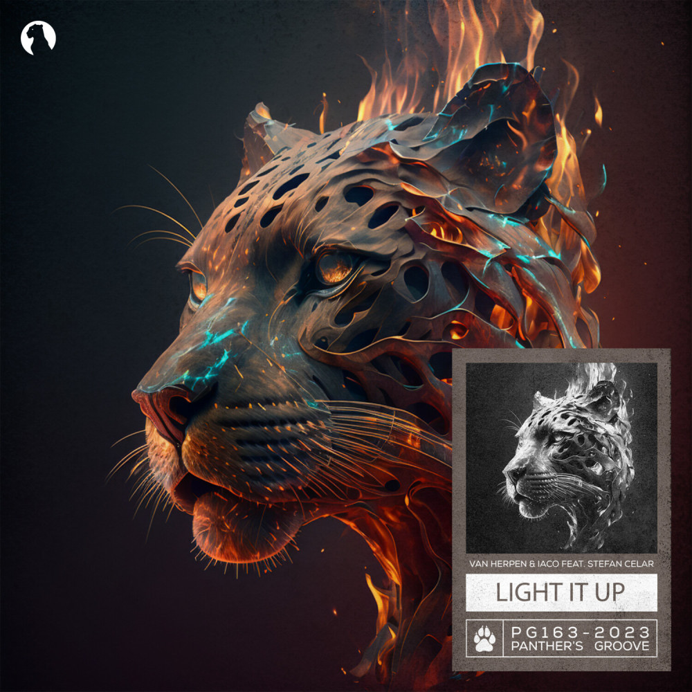Light It Up (Extended Mix)