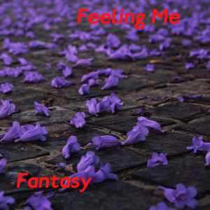 Album Feeling Me from Fantasy