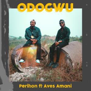 Aves Amani的專輯Odogwu (feat. Aves Amani)