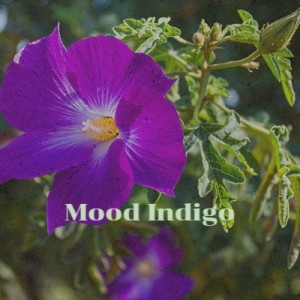 收听Red Nichols & His Five Pennies的You're My Everything歌词歌曲