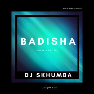 Album Badisha (feat. Makudubele) from 