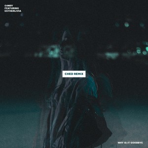 Listen to Why Is It Goodbye (Ched Remix) song with lyrics from C4NDY