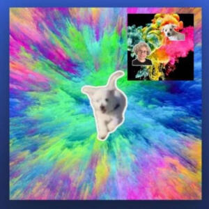 default playlist img