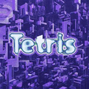 ดาวน์โหลดและฟังเพลง Tetris (Explicit) พร้อมเนื้อเพลงจาก Swollen Members