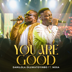 Album You Are Good from Damilola Oluwatoyinbo