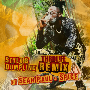 收聽Stylo G的Dumpling (THRDL!FE Remix|Explicit)歌詞歌曲