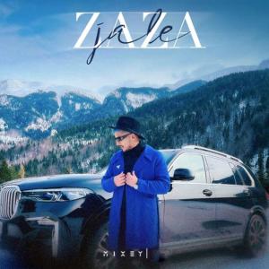 Listen to Jale song with lyrics from Shpend Hajredini