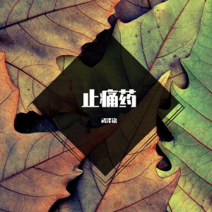 Dengarkan 我没K lagu dari 武泽铭 dengan lirik
