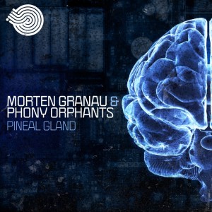 Dengarkan Pineal Gland lagu dari Phony Orphants dengan lirik