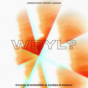 Album WDYL? (feat. Sammy Adams) [CharlieWonder & CHEEKS Remix] (Explicit) from Cheeks