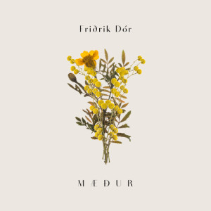 Album Mæður from Friðrik Dór