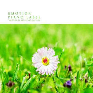 Various Artists的专辑Time Of Healing (Nature Piano Collection) (Nature Ver.)