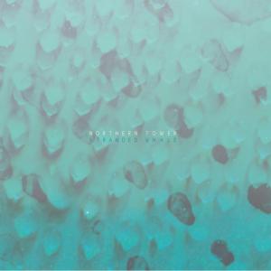 ดาวน์โหลดและฟังเพลง Killer Whale พร้อมเนื้อเพลงจาก Stranded Whale