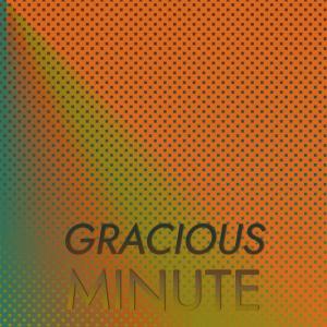 Album Gracious Minute from Various