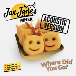 Jax Jones的專輯Where Did You Go? (Acoustic)