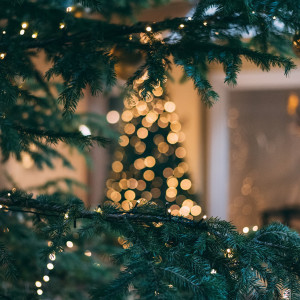 Listen to Alone for Christmas (Explicit) song with lyrics from A.C