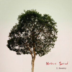 Listen to In the Park with Birds, Wind song with lyrics from J.Roomy